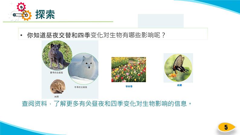 【新】教科版科学六年级上册第2单元7.昼夜和四季变化对生物的影响PPT课件+习题+教学设计+视频素材05