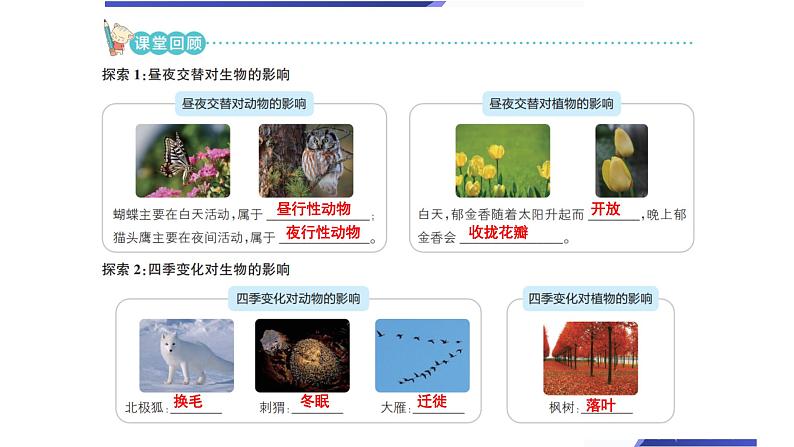 【新】教科版科学六年级上册第2单元7.昼夜和四季变化对生物的影响PPT课件+习题+教学设计+视频素材03