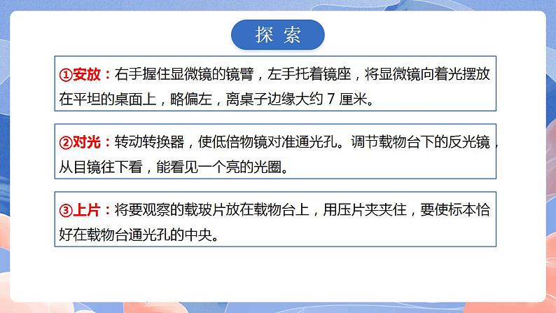 【核心素养目标】教科版小学科学六年级上册1.3《观察身边微小的物体》》课件+教案(含教学反思)06