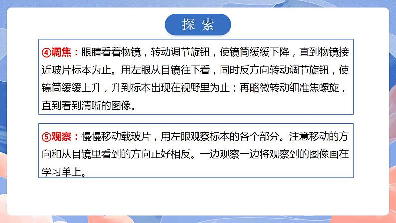 【核心素养目标】教科版小学科学六年级上册1.3《观察身边微小的物体》》课件+教案(含教学反思)07