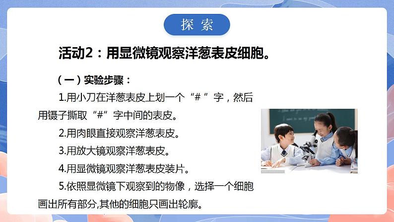 【核心素养目标】教科版小学科学六年级上册1.4《观察洋葱表皮细胞》课件+教案(含教学反思)08