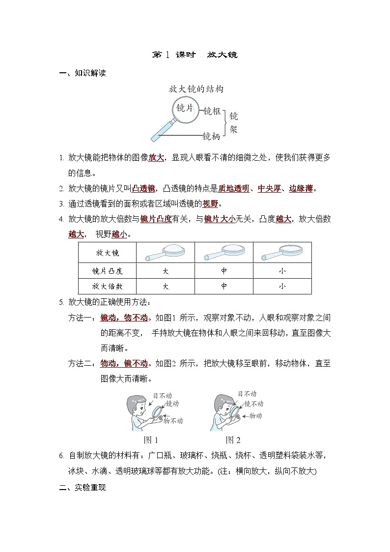 1.1 放大镜（习题课件+知识点梳理）教科版六年级科学上册01