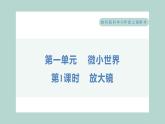1.1 放大镜（习题课件+知识点梳理）教科版六年级科学上册