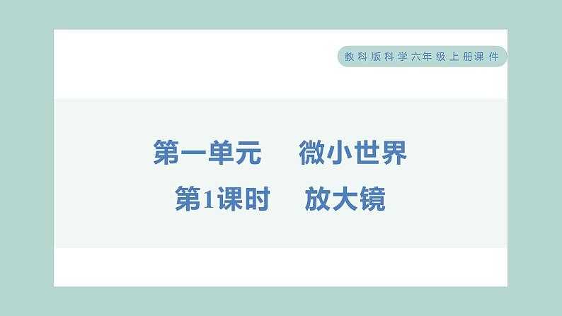 1.1 放大镜（习题课件+知识点梳理）教科版六年级科学上册01