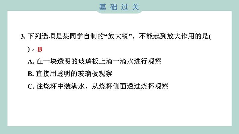 1.1 放大镜（习题课件+知识点梳理）教科版六年级科学上册04