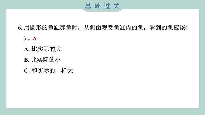 1.1 放大镜（习题课件+知识点梳理）教科版六年级科学上册07