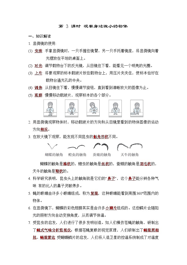 第 3 课时 观察身边微小的物体第1页