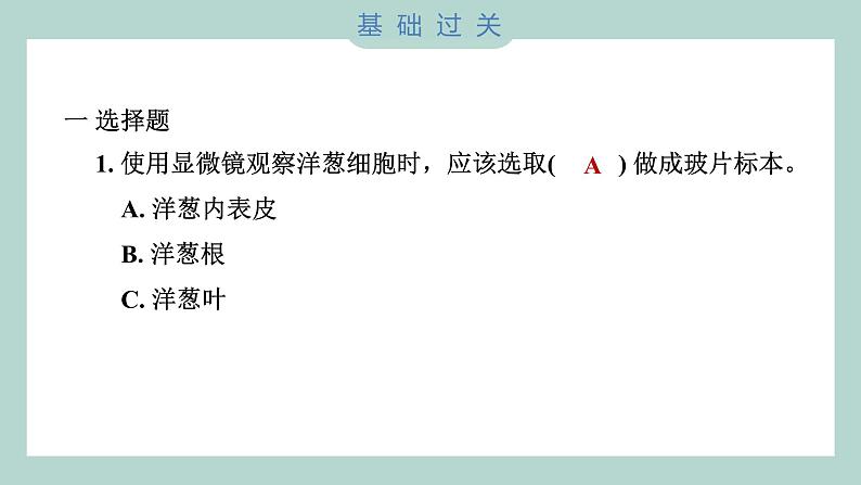 1.4 观察洋葱表皮细胞（习题课件+知识点梳理）教科版六年级科学上册02
