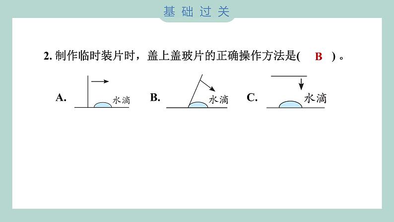 1.4 观察洋葱表皮细胞（习题课件+知识点梳理）教科版六年级科学上册03