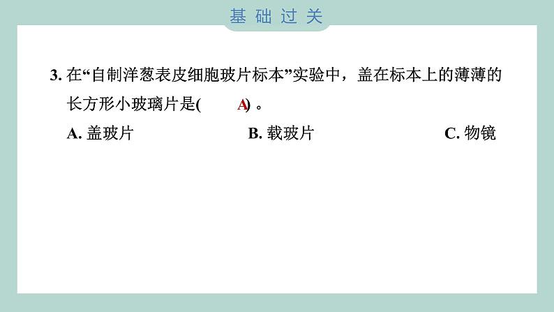 1.4 观察洋葱表皮细胞（习题课件+知识点梳理）教科版六年级科学上册04