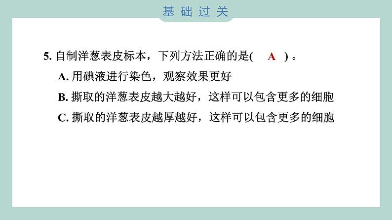 1.4 观察洋葱表皮细胞（习题课件+知识点梳理）教科版六年级科学上册06