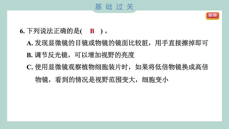 1.4 观察洋葱表皮细胞（习题课件+知识点梳理）教科版六年级科学上册07