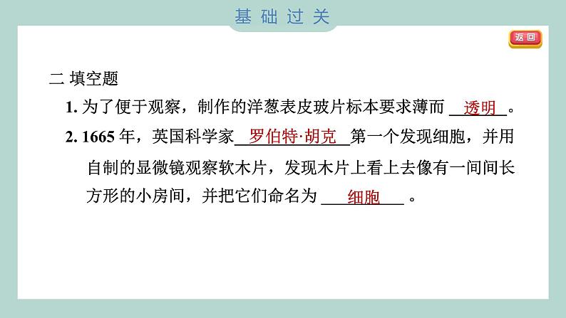 1.4 观察洋葱表皮细胞（习题课件+知识点梳理）教科版六年级科学上册08