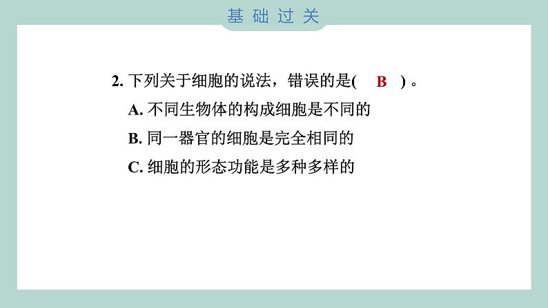 1.5 观察更多的生物细胞（习题课件+知识点梳理）教科版六年级科学上册03