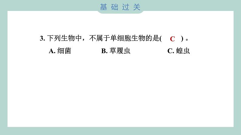 1.5 观察更多的生物细胞（习题课件+知识点梳理）教科版六年级科学上册04