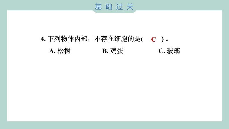 1.5 观察更多的生物细胞（习题课件+知识点梳理）教科版六年级科学上册05