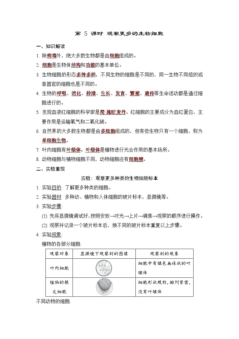 1.5 观察更多的生物细胞（习题课件+知识点梳理）教科版六年级科学上册01