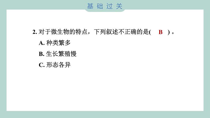 1.6 观察水中微小的生物（习题课件+知识点梳理）教科版六年级科学上册03