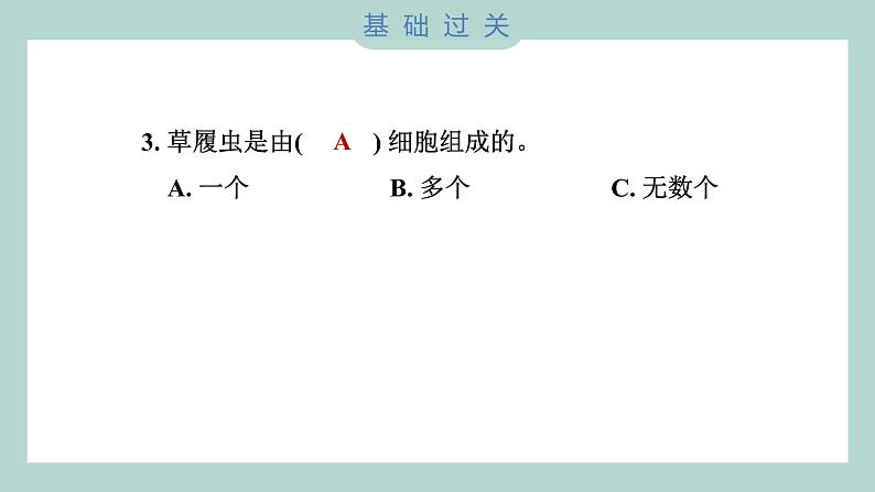 1.6 观察水中微小的生物（习题课件+知识点梳理）教科版六年级科学上册04