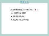 1.6 观察水中微小的生物（习题课件+知识点梳理）教科版六年级科学上册