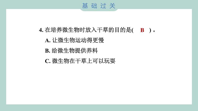 1.6 观察水中微小的生物（习题课件+知识点梳理）教科版六年级科学上册05