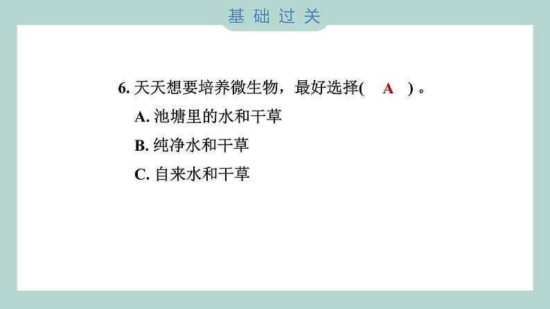 1.6 观察水中微小的生物（习题课件+知识点梳理）教科版六年级科学上册07