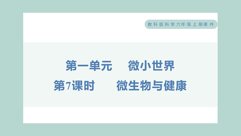 1.7 微生物与健康（习题课件+知识点梳理）教科版六年级科学上册01