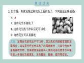 1.7 微生物与健康（习题课件+知识点梳理）教科版六年级科学上册