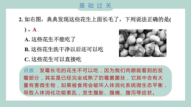 1.7 微生物与健康（习题课件+知识点梳理）教科版六年级科学上册03