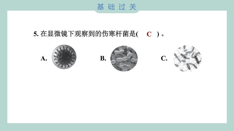 1.7 微生物与健康（习题课件+知识点梳理）教科版六年级科学上册06