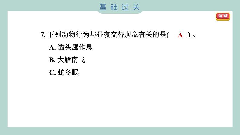 2.2 昼夜交替现象（习题课件+知识点梳理）教科版六年级科学上册08