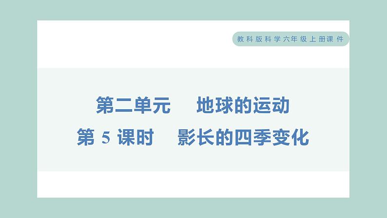 2.5 影长的四季变化（习题课件+知识点梳理）教科版六年级科学上册01