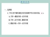 3.6 推动社会发展的印刷术（习题课件+知识点梳理）教科版六年级科学上册