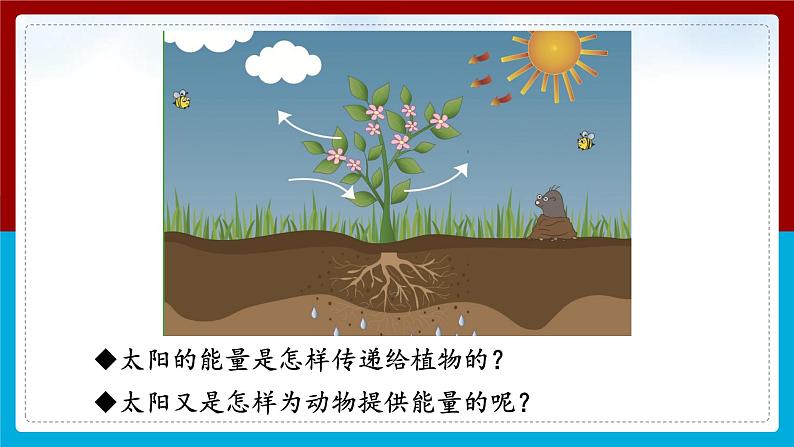 【新】教科版科学六年级上册第4单元7.能量从哪里来PPT课件+习题+教学设计+视频素材08