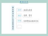第一单元 单元测试卷 教科版六年级科学上册