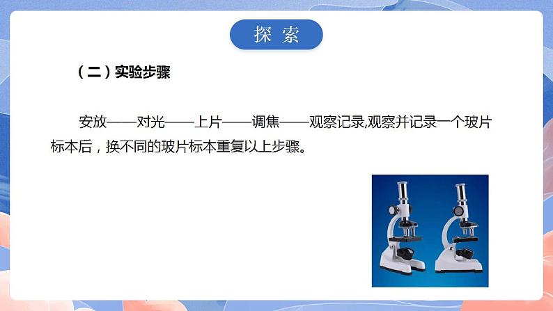 【核心素养目标】教科版小学科学六年级上册1.5《观察更多的生物细胞》课件+教案(含教学反思)05