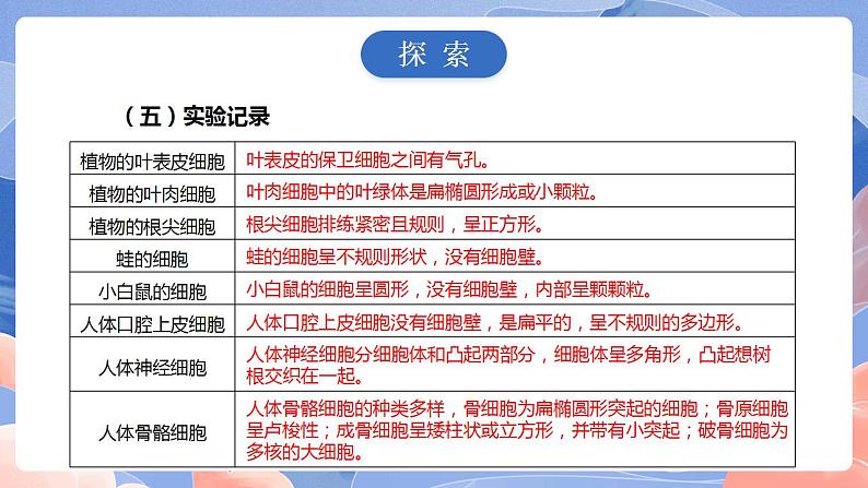 【核心素养目标】教科版小学科学六年级上册1.5《观察更多的生物细胞》课件+教案(含教学反思)08