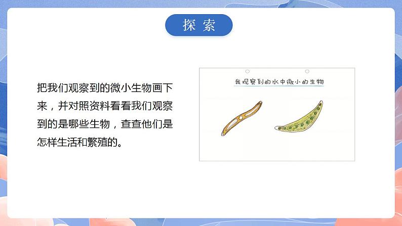 【核心素养目标】教科版小学科学六年级上册1.6《观察水中微小的生物》课件+教案(含教学反思)08