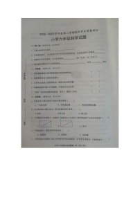 山东省菏泽市成武县2022-2023学年六年级下学期7月期末科学试题