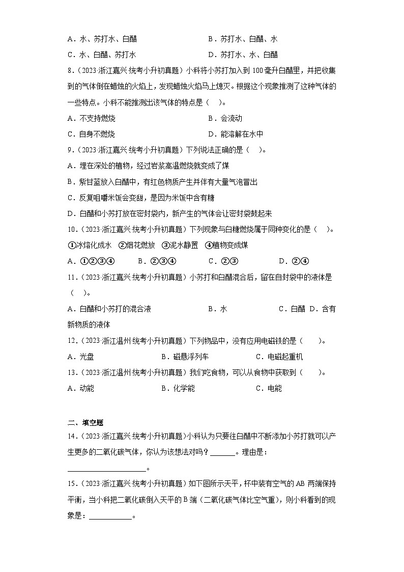 浙江省小升初知识点分类-01物质科学②（真题）-六年级下册科学浙教版第2页