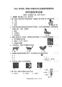 广东省清远市2022-2023学年四年级下学期7月期末科学试题