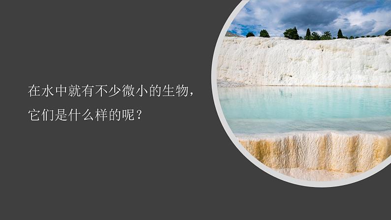 【新】教科版科学六年级上册第1单元6.观察水中微小的生物PPT课件+习题+教学设计+视频素材02