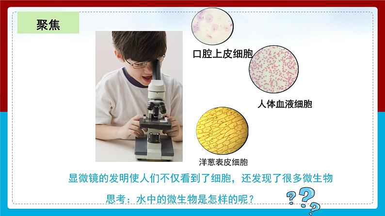 【新】教科版科学六年级上册第1单元6.观察水中微小的生物PPT课件+习题+教学设计+视频素材04