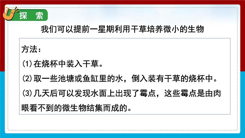 【新】教科版科学六年级上册第1单元6.观察水中微小的生物PPT课件+习题+教学设计+视频素材08