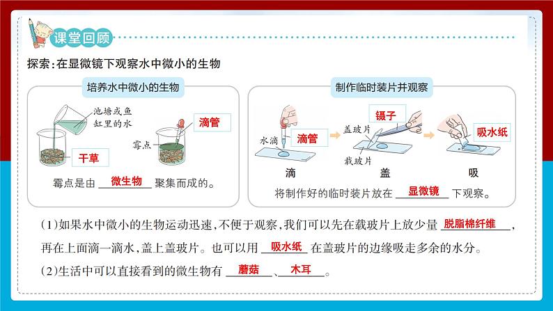 【新】教科版科学六年级上册第1单元6.观察水中微小的生物PPT课件+习题+教学设计+视频素材02