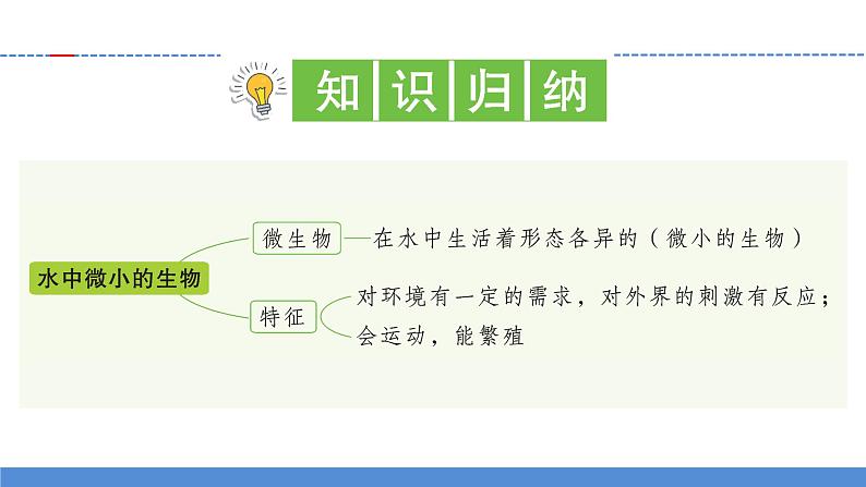 【新】教科版科学六年级上册第1单元6.观察水中微小的生物PPT课件+习题+教学设计+视频素材03