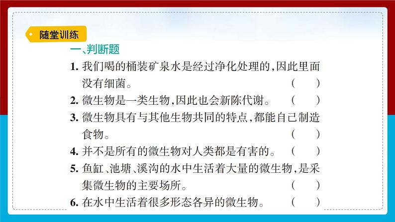 【新】教科版科学六年级上册第1单元6.观察水中微小的生物PPT课件+习题+教学设计+视频素材04