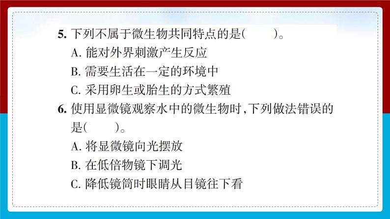 【新】教科版科学六年级上册第1单元6.观察水中微小的生物PPT课件+习题+教学设计+视频素材06