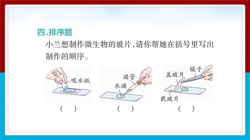 【新】教科版科学六年级上册第1单元6.观察水中微小的生物PPT课件+习题+教学设计+视频素材08