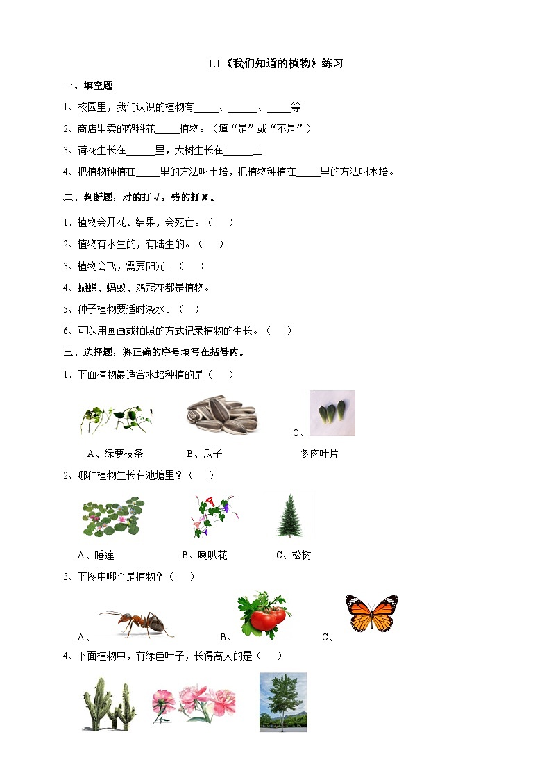 新教科版（2017）科学一年级上册 1.1《我们知道的植物》课件+教案+练习+素材01